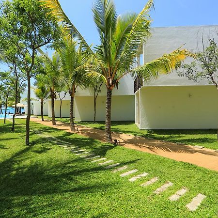 Arugambay Roccos Hotel Vịnh Arugam Ngoại thất bức ảnh
