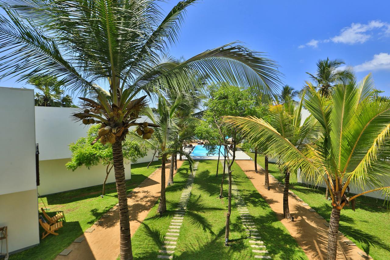 Arugambay Roccos Hotel Vịnh Arugam Ngoại thất bức ảnh